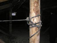 post-89149-075698100 1327893593_thumb.jpg