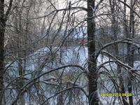 post-110428-032452600 1359634771_thumb.jpg