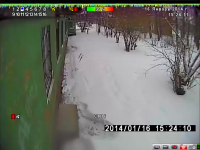 post-111426-007470700 1390878309_thumb.png