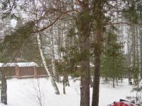 DSC02722.JPG