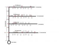 post-93872-080967200 1489216470_thumb.jpg