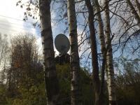 post-109071-012204400 1365053301_thumb.jpg