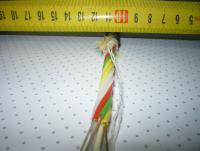 P1050316-.jpg