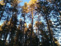 post-119769-099235000 1396958148_thumb.jpg