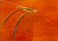 post-101574-084950600 1337153940_thumb.jpg