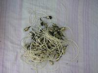 post-102886-061337200 1337609194_thumb.jpg