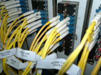 post-120192-040222000 1400925438_thumb.jpg