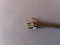 post-42639-088358800 1338535826_thumb.jpg