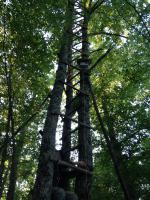 post-114301-082807600 1372500762_thumb.jpg