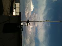 post-68697-061212100 1310985803_thumb.jpg