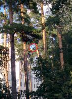 post-128958-005883000 1438184011_thumb.jpg