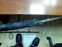 post-104306-037716000 1468995953_thumb.jpg