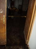 post-78745-048338400 1346358104_thumb.jpg