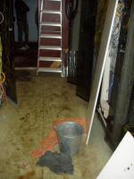 post-78745-075925300 1346357998_thumb.jpg