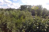 post-122125-078354300 1408730346_thumb.jpg