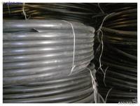 post-98520-011704500 1409414560_thumb.jpg