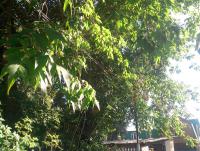 post-62327-096514200 1380563566_thumb.jpg