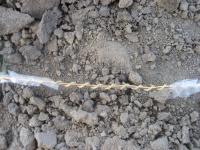 post-66834-1286712755_thumb.jpg