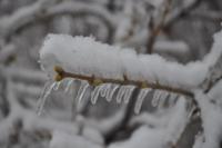 Фотографии - 2344.jpg