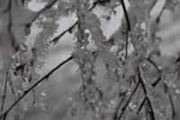 Фотографии - 2345.jpg