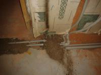 post-32928-016497300 1356551195_thumb.jpg