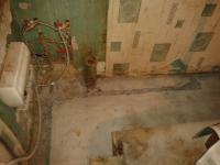 post-32928-053077000 1356551121_thumb.jpg