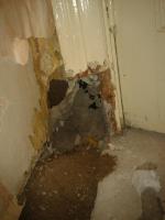 post-32928-099737100 1356551340_thumb.jpg