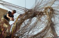 post-60985-093876600 1356970538_thumb.jpg