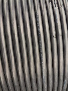 IMG_4441.JPG