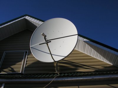 5598545.jpg