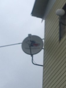 image1.thumb.jpeg.56fd1c4a53ca0814e5a4216fb898ac98.jpeg