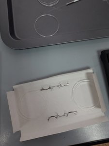 20181227_134006.jpg