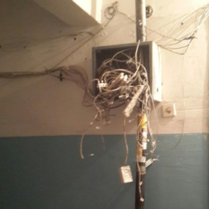 image.thumb.png.857a02d4dad8512dc7d738b5645ec381.png