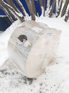 WhatsApp Image 2020-02-10 at 11.50.40.jpeg