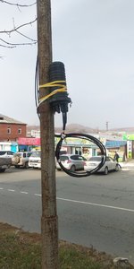 IMG_20201115_105431.jpg