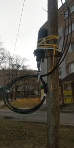 IMG_20201115_105447.jpg