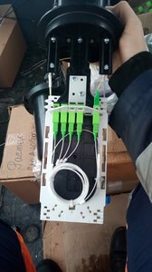 4F135C6E-7BA6-4AF2-AD2D-52BC472D0C80.jpeg