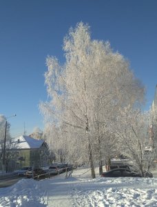IMG_2020-12-01_114111.thumb.jpg.ab8281ac58bae0dc6bda4b14e4a5752b.jpg