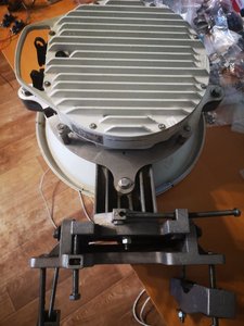 IMG_20210916_100315.jpg