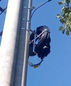20210909_123820.thumb.jpg.cd99dd20904646569ed512e4039f125b.jpg