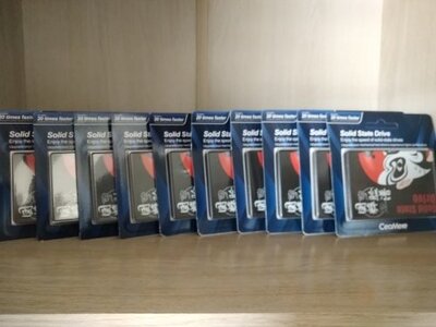 10pcs.jpg