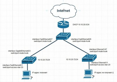 Скриншот 05-03-2025 094716.jpg
