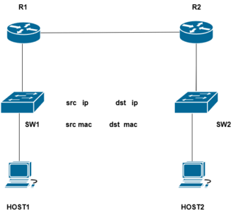 nettopology.png