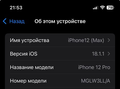 IMG_2231.jpeg