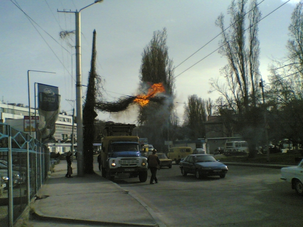 Веселые картинки