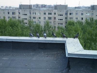 Воздушки