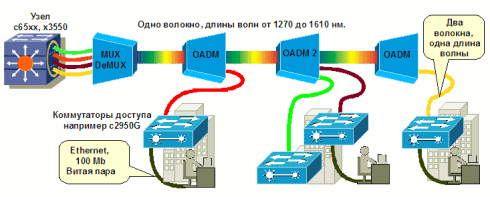 CWDM. Возвращение блудного попугая