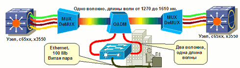 CWDM. Возвращение блудного попугая