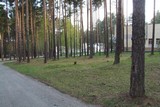 КРОС-2009 (Азмъ есмь провайдеръ)
