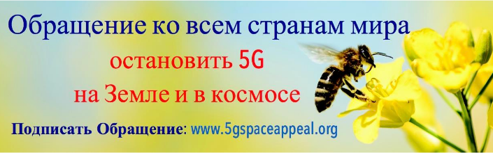 Швейцарию охватила 5G-фобия